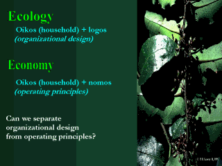 Ecology & Economy