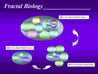 Fractal Biology