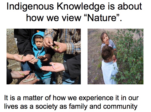 Indigenous Knowledge is about how we view ``Nature''.

It is a matter of how we experience it in our lives as a society as family and community
