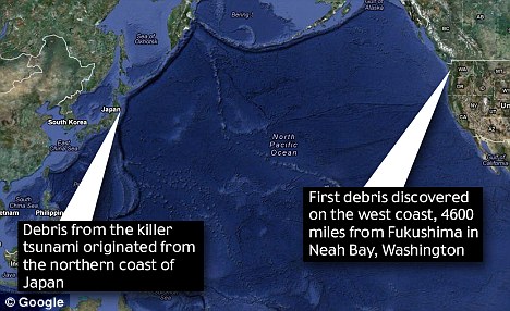 Tsunami map