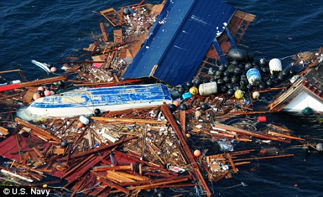 Floating debris