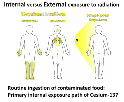 Internal versus External exposure to radiation
