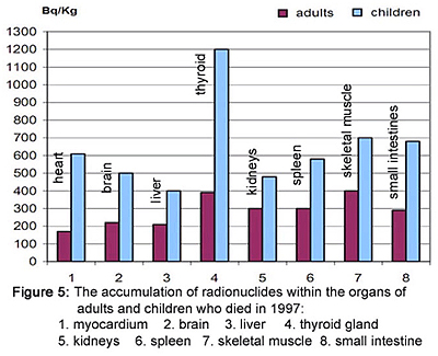 The accumulation of radionuclides within the organs of adults and children who died in 2007
