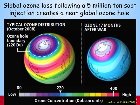 Global ozone loss following a 5 million ton soot injection creates a near global ozone hole