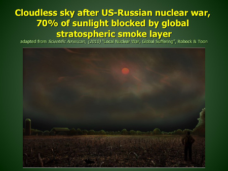 Cloudless sky after US-Russian nuclear war, 70% of sunlight blocked by global stratospheric smoke layer